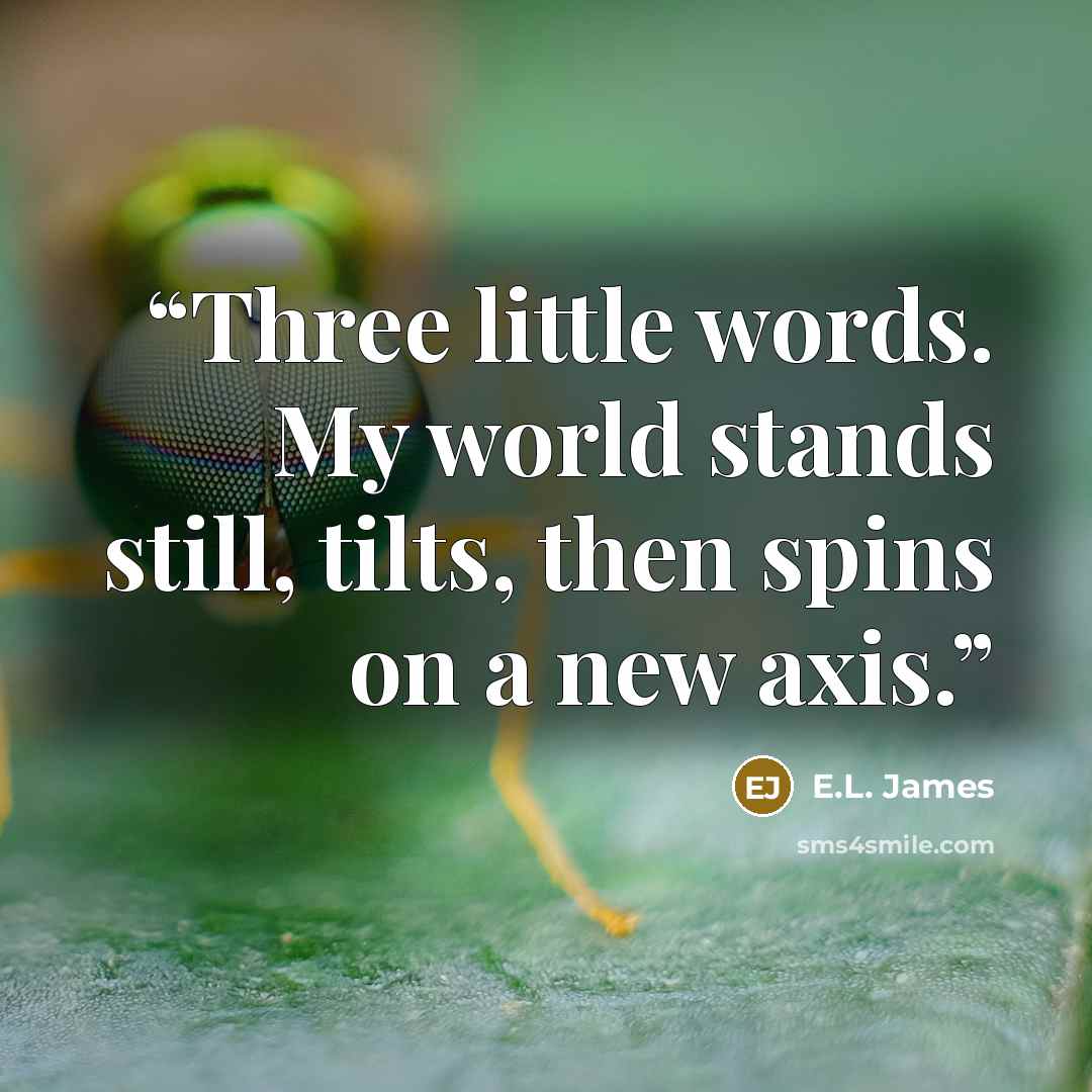 “Three little words. My world stands still, tilts, then spins on a new axis.” quote by E.L. James