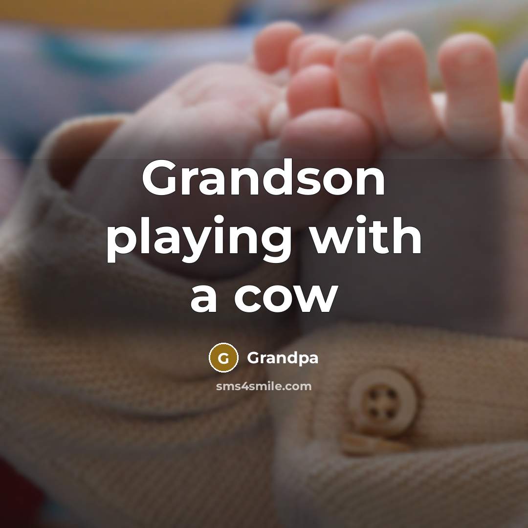 “Grandson playing with a cow…” quote by Grandpa