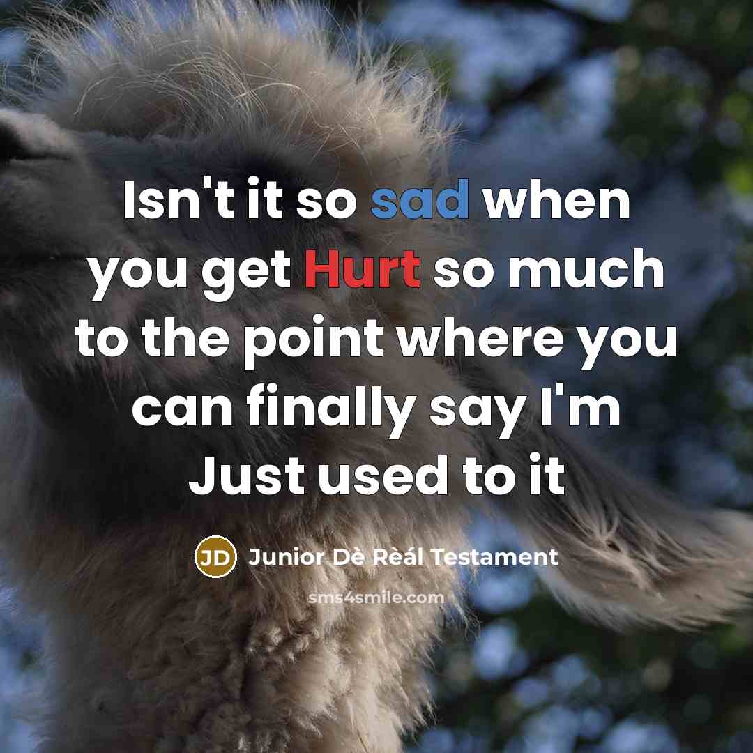 “Isn't it so sad when you get Hurt so much to the point where you can finally say I'm Just used to it” quote by Junior Dè Rèál Testament