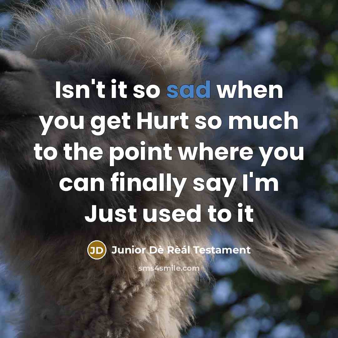 “Isn't it so sad when you get Hurt so much…” quote by Junior Dè Rèál Testament