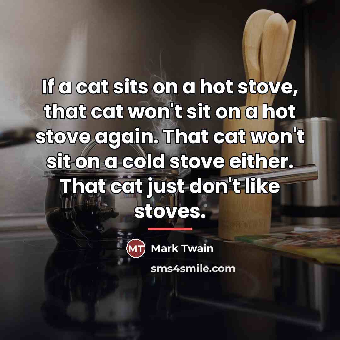 “If a cat sits on a hot stove, that cat…” quote by Mark Twain