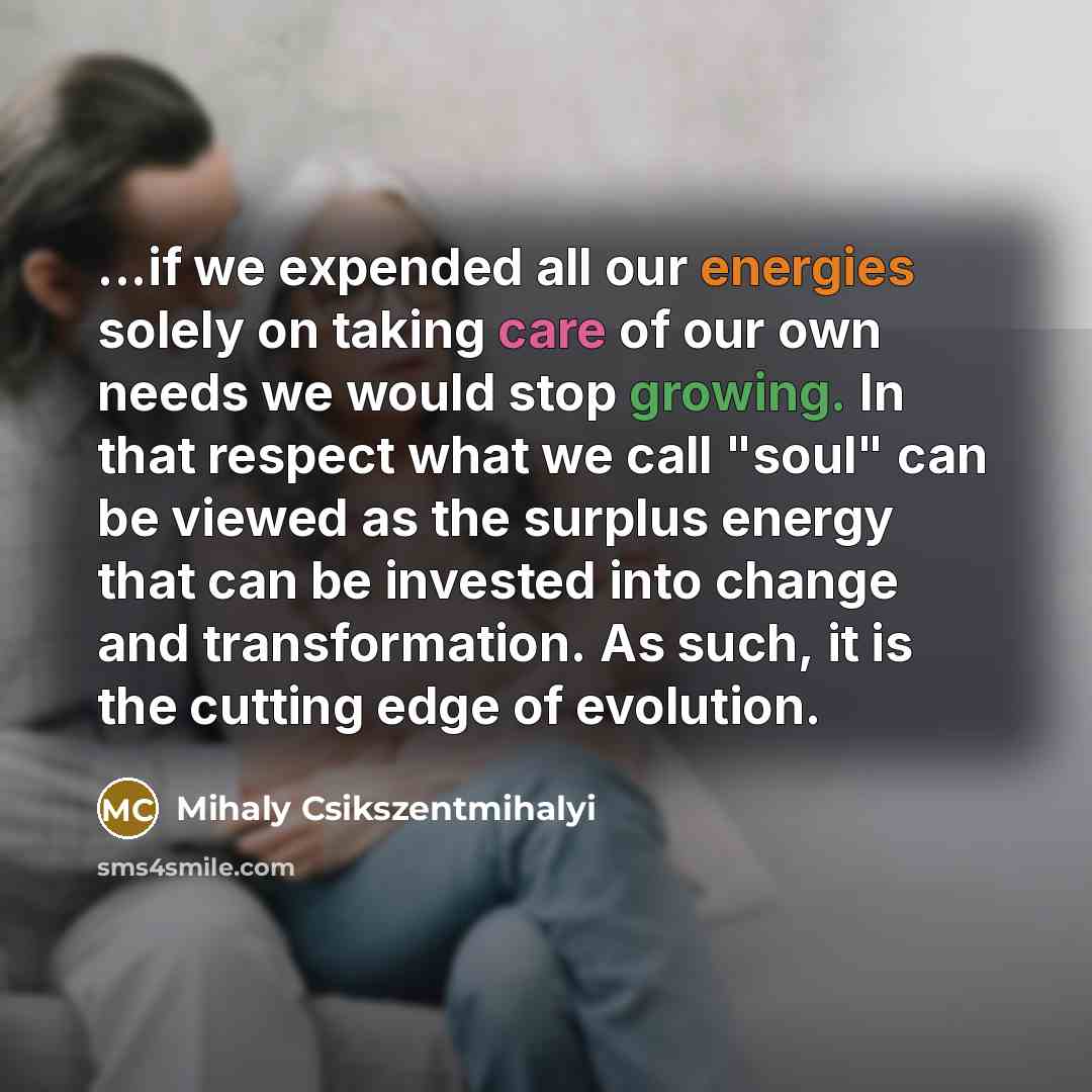 “...if we expended all our energies solely on taking care…” quote by Mihaly Csikszentmihalyi
