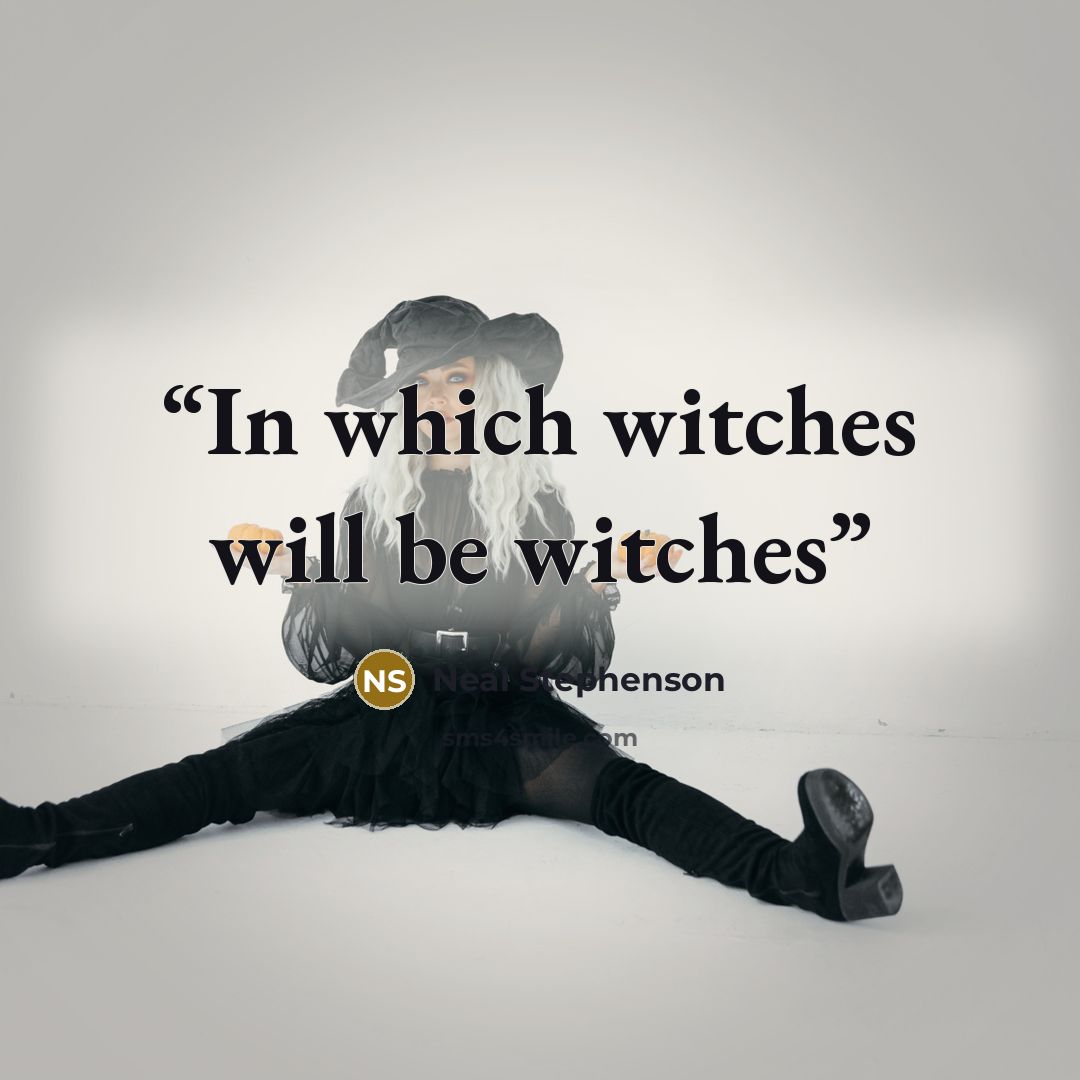 “In which witches will be witches” quote by Neal Stephenson