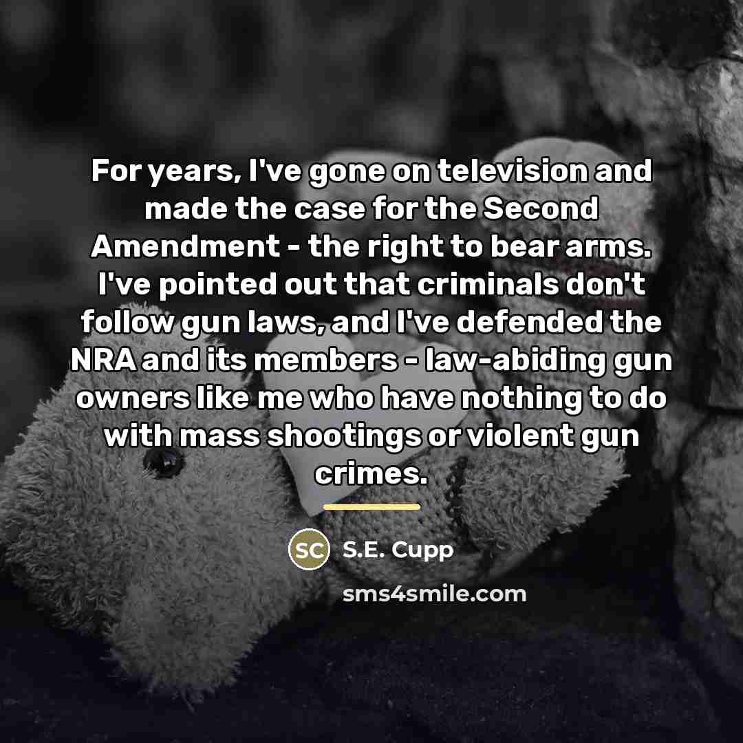 “For years, I've gone on television and made the case…” quote by S.E. Cupp