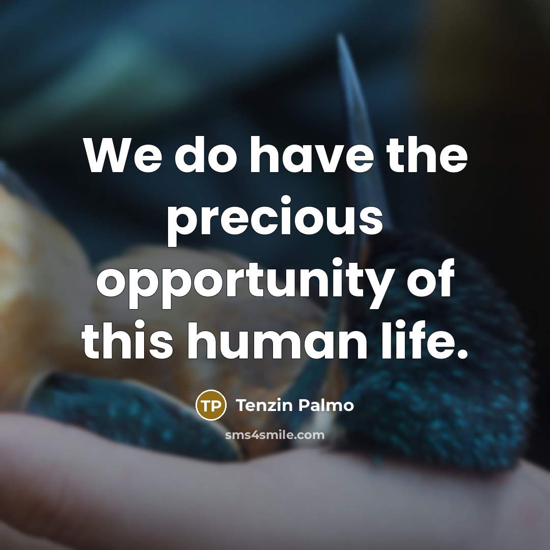 “We do have the precious opportunity of this human life.…” quote by Tenzin Palmo