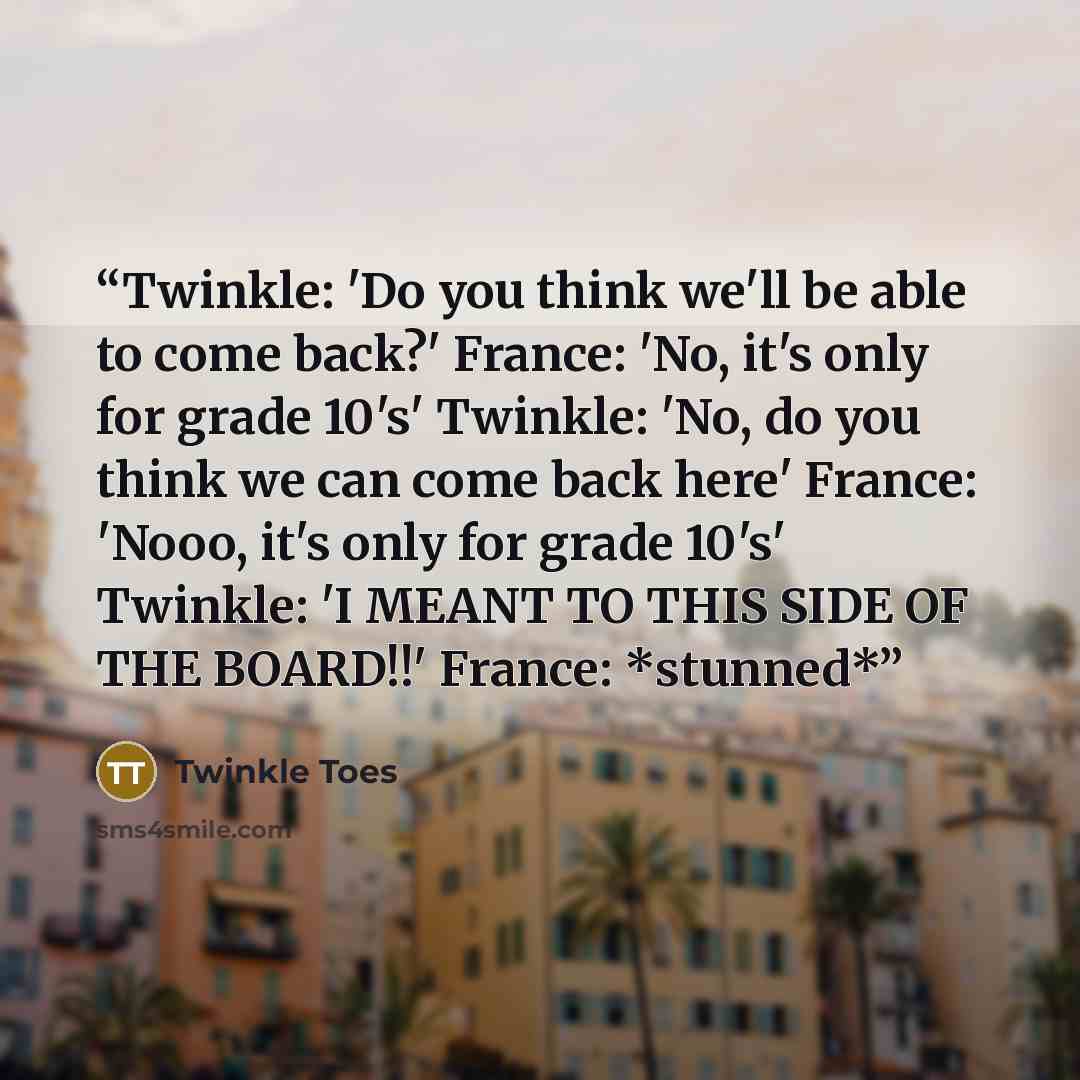 “Twinkle: 'Do you think we'll be able to come back?' France: 'No, it's only for grade 10's' Twinkle: 'No, do you think we can come back here' France: 'Nooo, it's only for grade 10's' Twinkle: 'I MEANT TO THIS SIDE OF THE BOARD!!' France: *stunned*” quote by Twinkle Toes