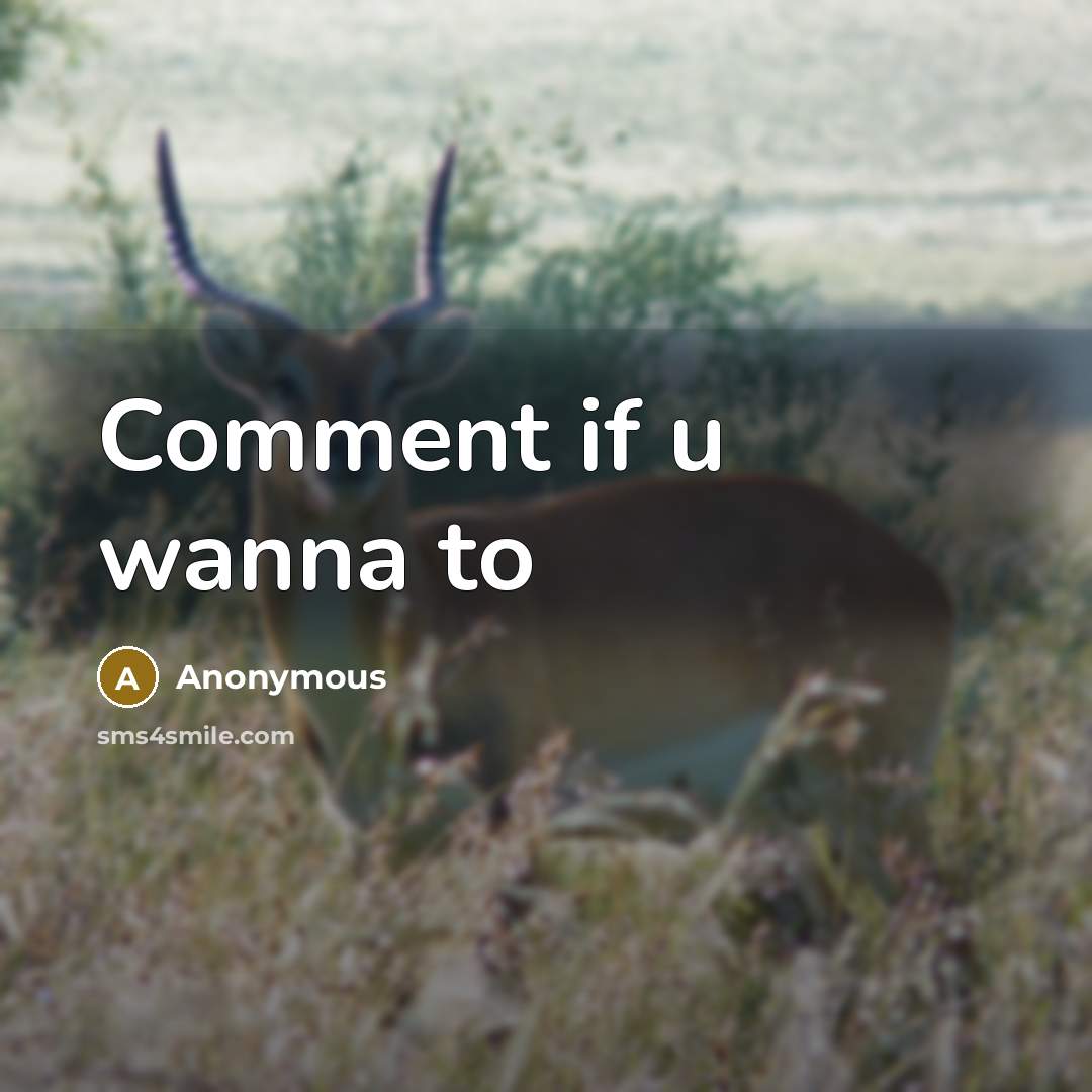 “Comment if u wanna to” quote by Anonymous