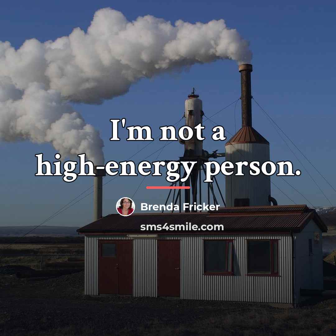 “I'm not a high-energy person.…” quote by Brenda Fricker
