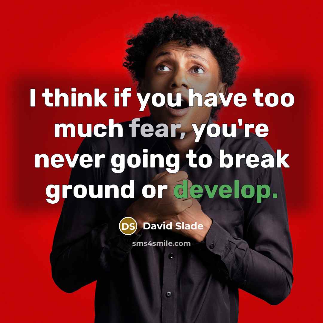 “I think if you have too much fear, you're never…” quote by David Slade