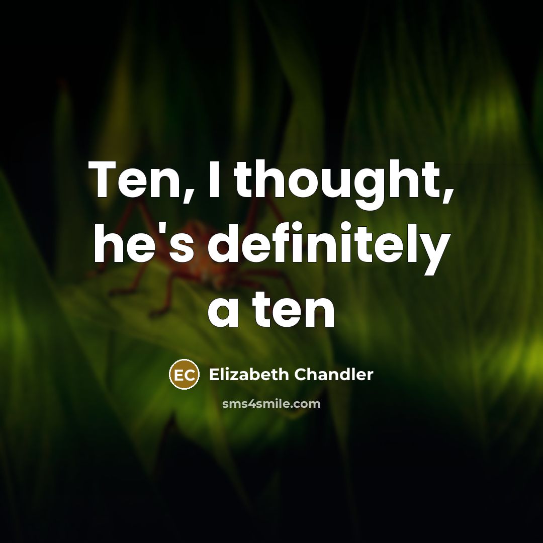 “Ten, I thought, he's definitely a ten…” quote by Elizabeth Chandler