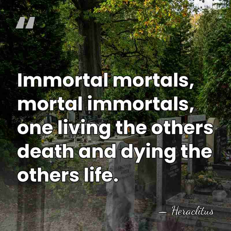 Immortal mortals, mortal immortals, one living the others death and dying the&hellip; - Heraclitus
