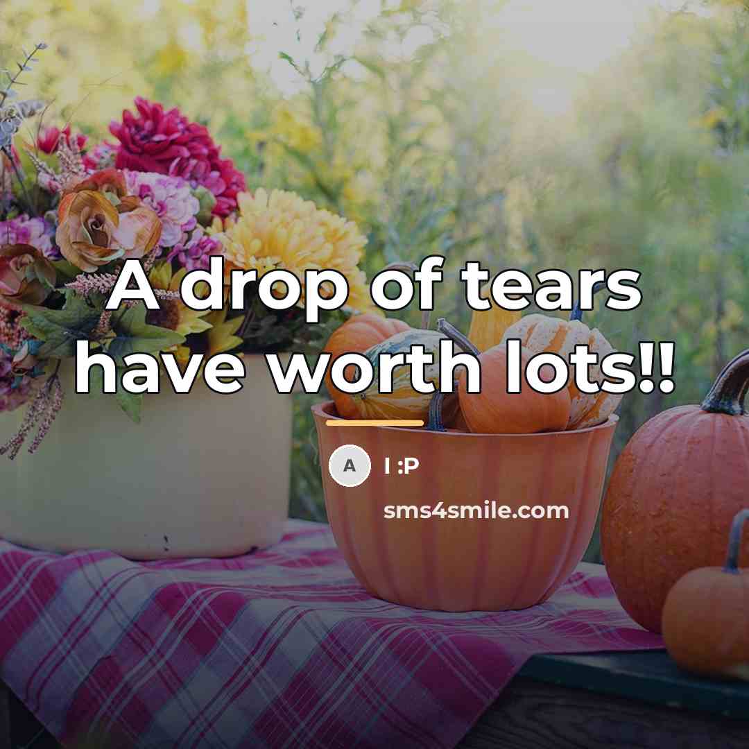 “A drop of tears have worth lots!!…” quote by I :P
