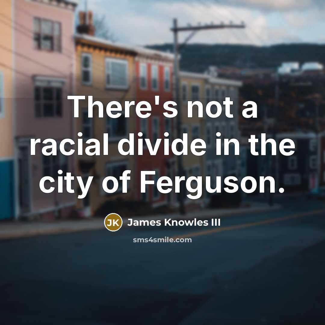 “There's not a racial divide in the city of Ferguson.…” quote by James Knowles III