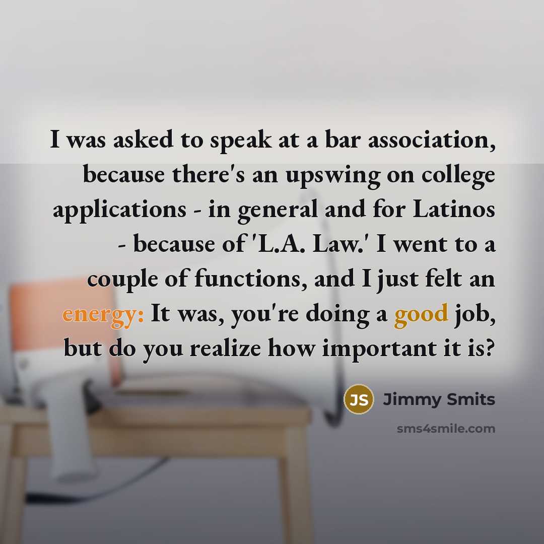 “I was asked to speak at a bar association, because there's an upswing on college applications - in general and for Latinos - because of 'L.A. Law.' I went to a couple of functions, and I just felt an energy: It was, you're doing a good job, but do you realize how important it is?” quote by Jimmy Smits