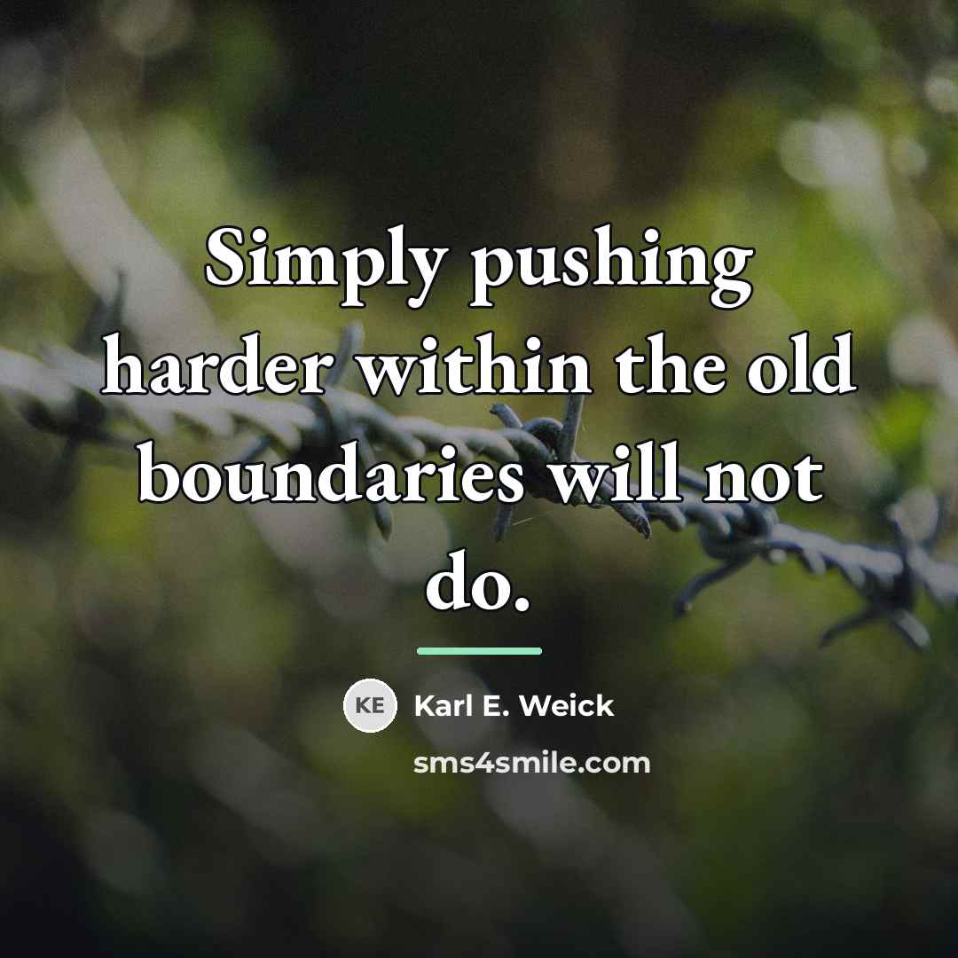“Simply pushing harder within the old boundaries will not do.…” quote by Karl E. Weick