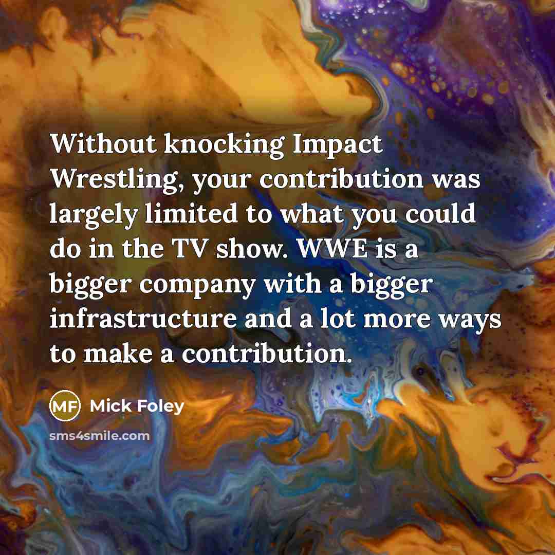 “Without knocking Impact Wrestling, your contribution was largely limited to…” quote by Mick Foley