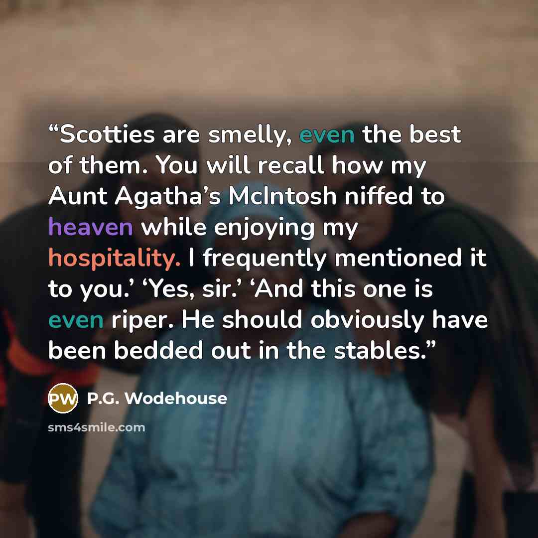 “Scotties are smelly, even the best of them. You will recall how my Aunt Agatha’s McIntosh niffed to heaven while enjoying my hospitality. I frequently mentioned it to you.’ ‘Yes, sir.’ ‘And this one is even riper. He should obviously have been bedded out in the stables.” quote by P.G. Wodehouse