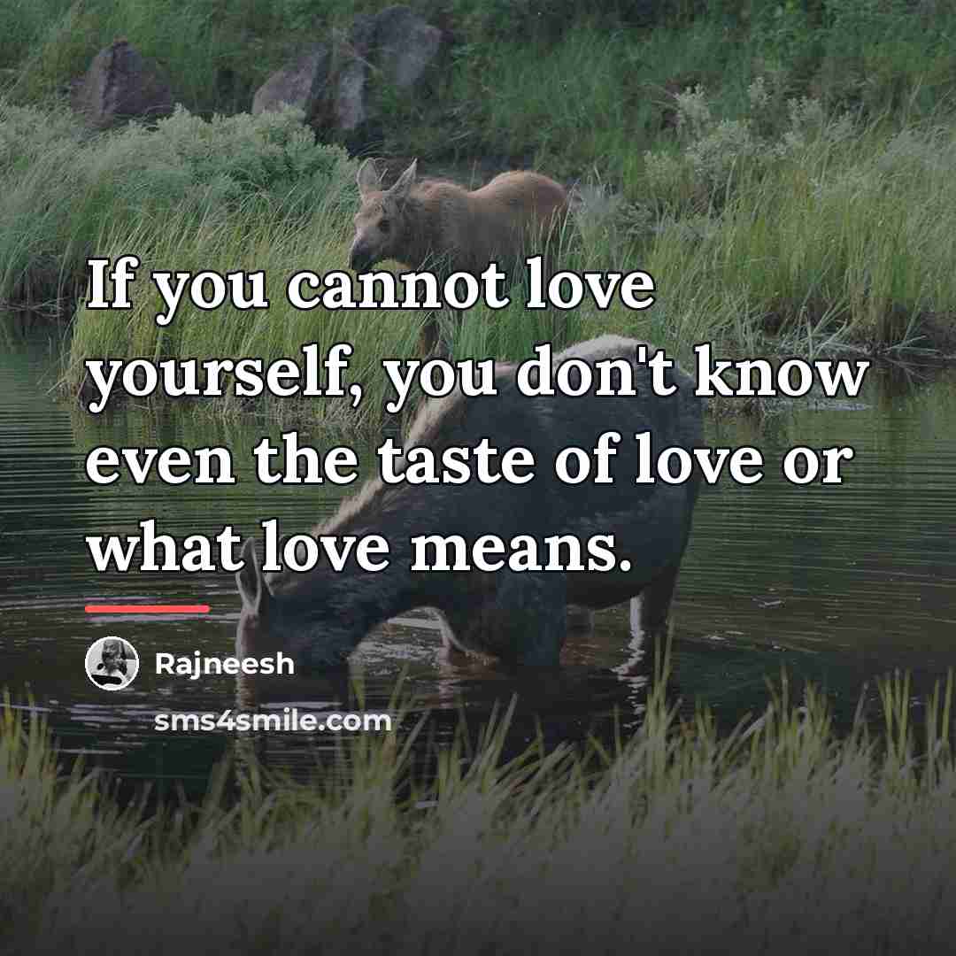 “If you cannot love yourself, you don't know even the…” quote by Rajneesh