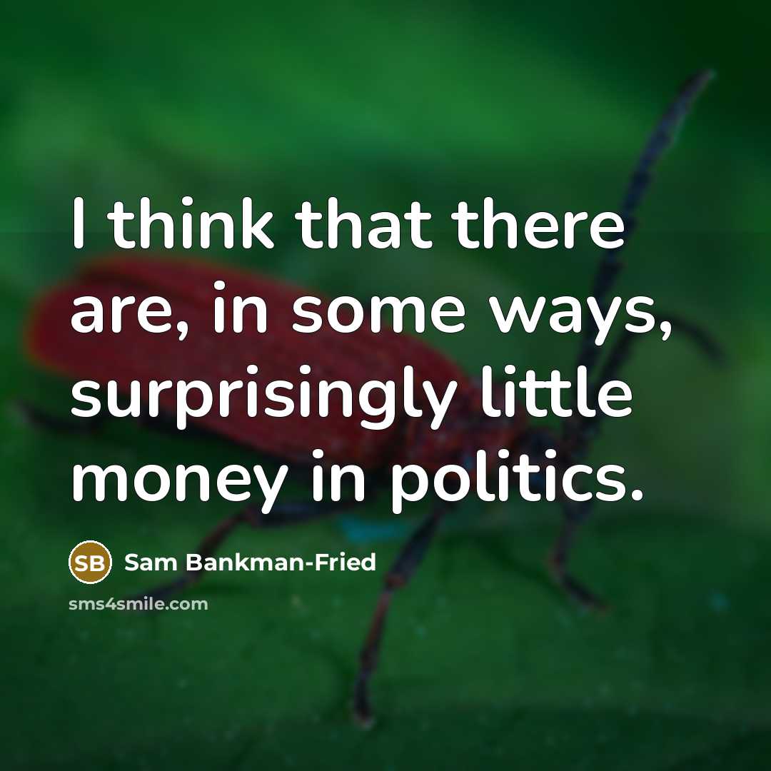 “I think that there are, in some ways, surprisingly little…” quote by Sam Bankman-Fried