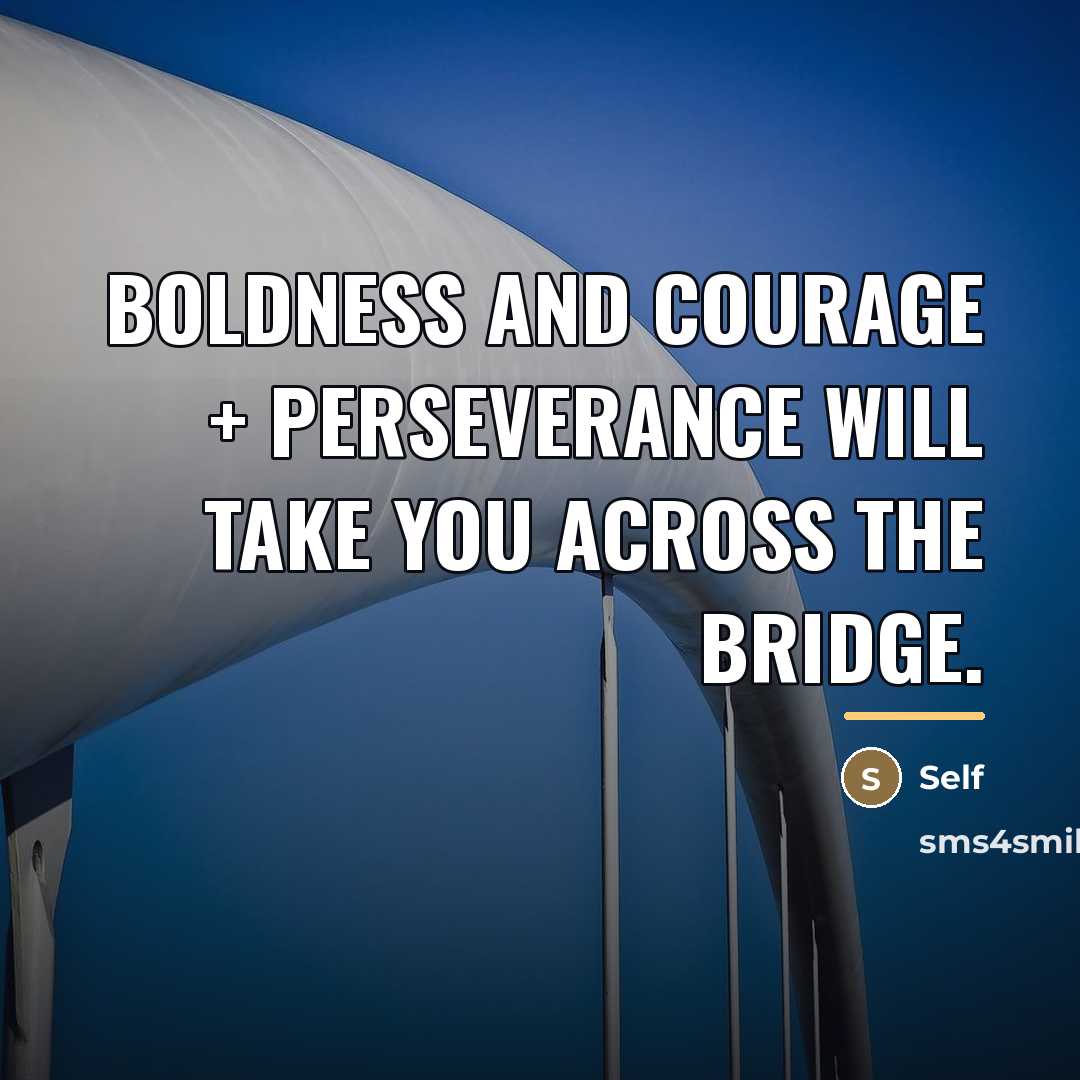 “Boldness and Courage + Perseverance will take you across the…” quote by Self