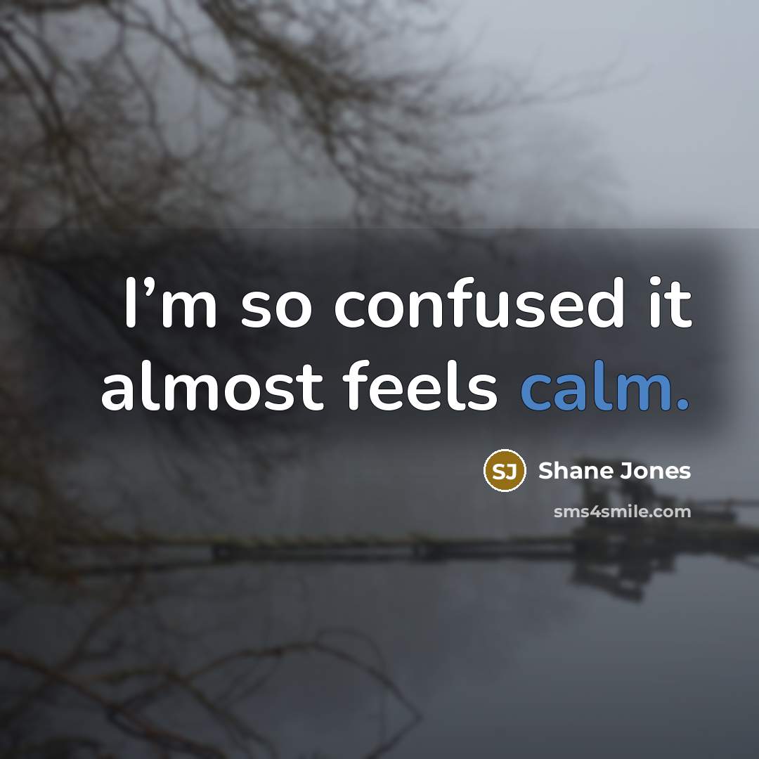 “I’m so confused it almost feels calm.…” quote by Shane Jones