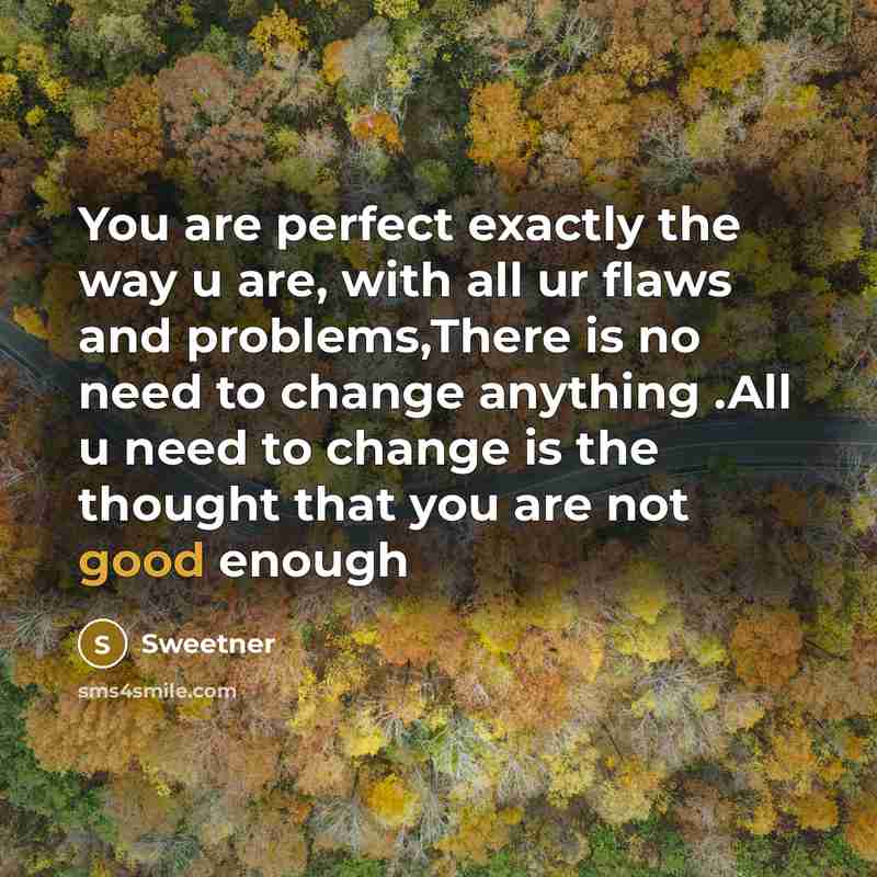 “You are perfect exactly the way u are, with all ur flaws and problems,There is no need to change anything .All u need to change is the thought that you are not good enough” quote by Sweetner