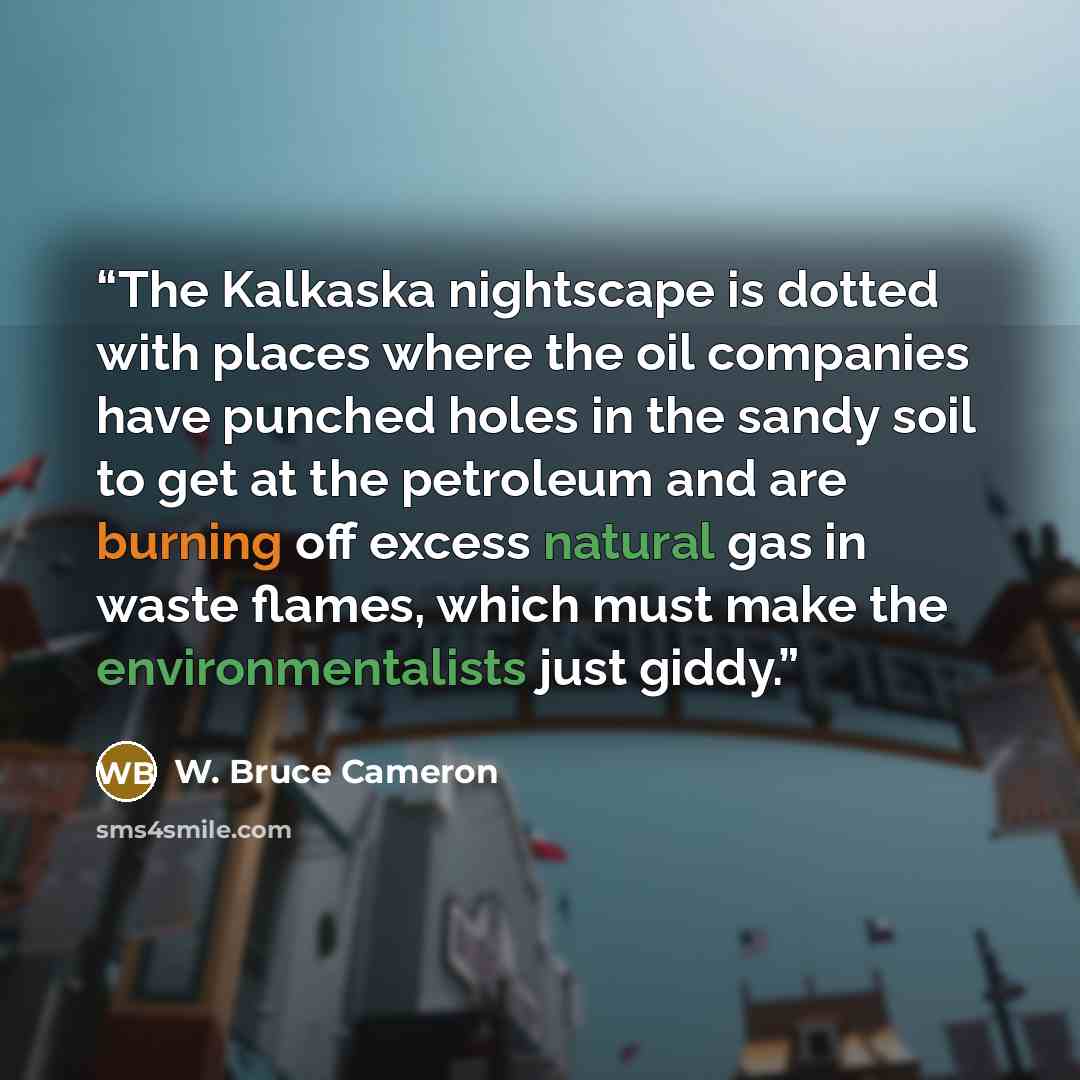 “The Kalkaska nightscape is dotted with places where the oil companies have punched holes in the sandy soil to get at the petroleum and are burning off excess natural gas in waste flames, which must make the environmentalists just giddy.” quote by W. Bruce Cameron