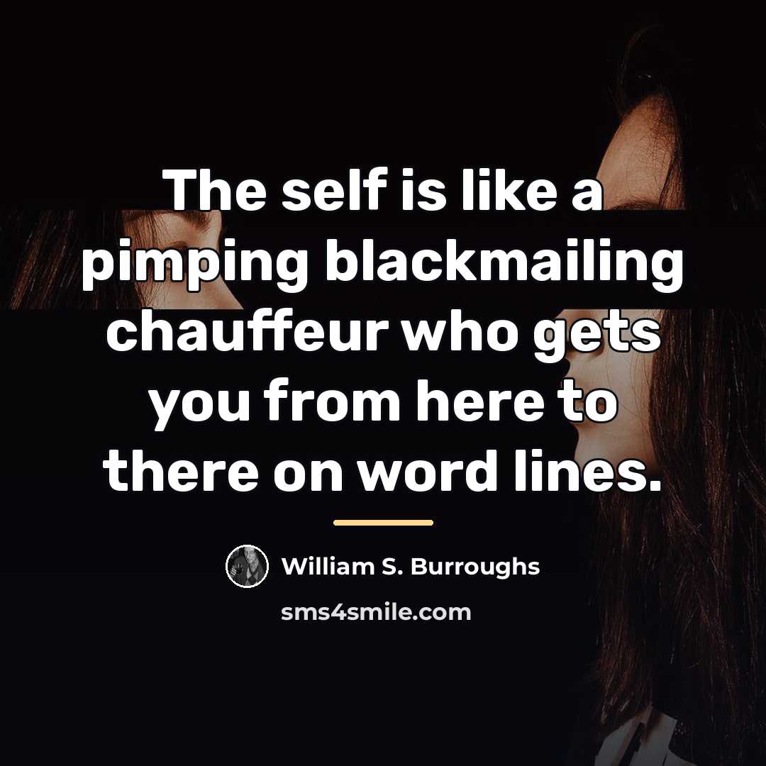 “The self is like a pimping blackmailing chauffeur who gets…” quote by William S. Burroughs