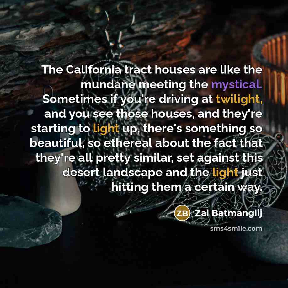 “The California tract houses are like the mundane meeting the…” quote by Zal Batmanglij