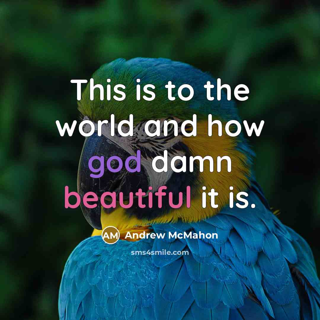 “This is to the world and how god damn beautiful…” quote by Andrew McMahon