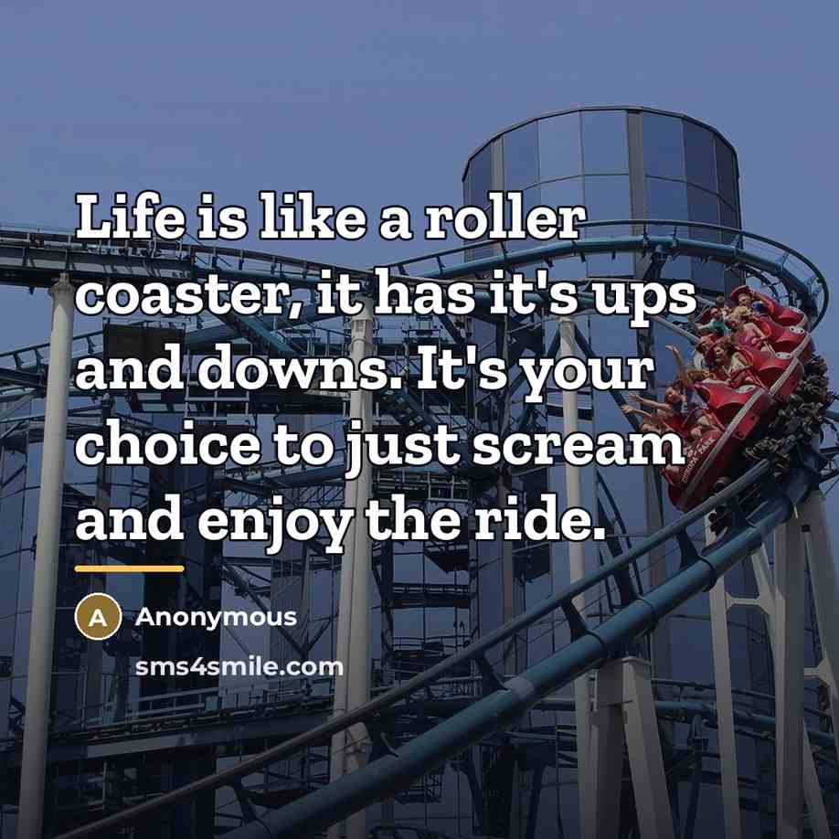“Life is like a roller coaster, it has it's ups…” quote by Anonymous