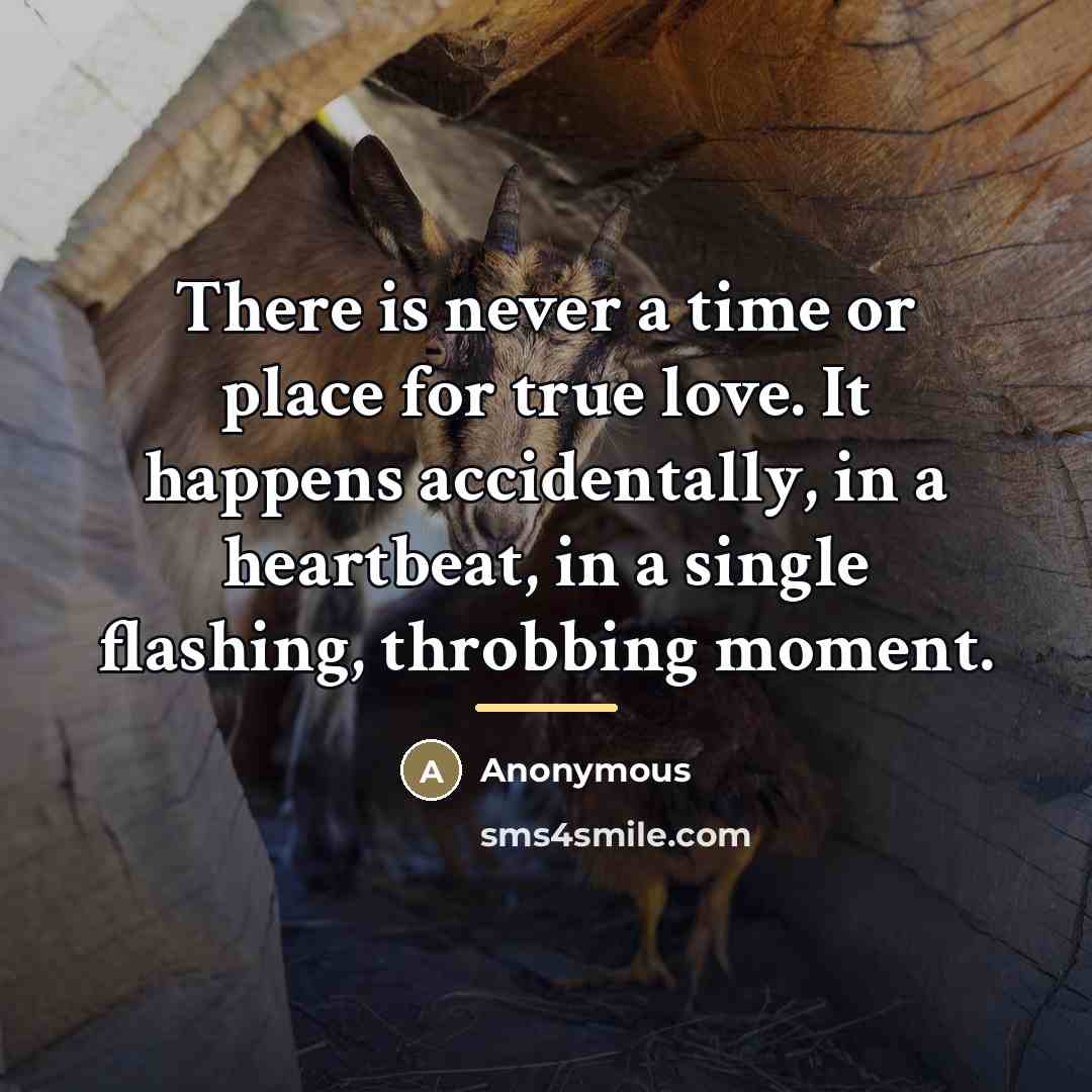 “There is never a time or place for true love.…” quote by Anonymous