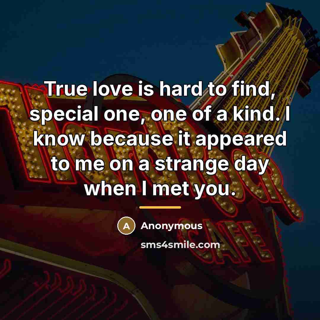 “True love is hard to find, special one, one of…” quote by Anonymous