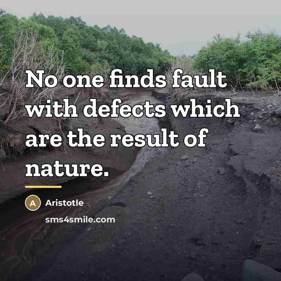 “No one finds fault with defects which are the result…” quote by Aristotle