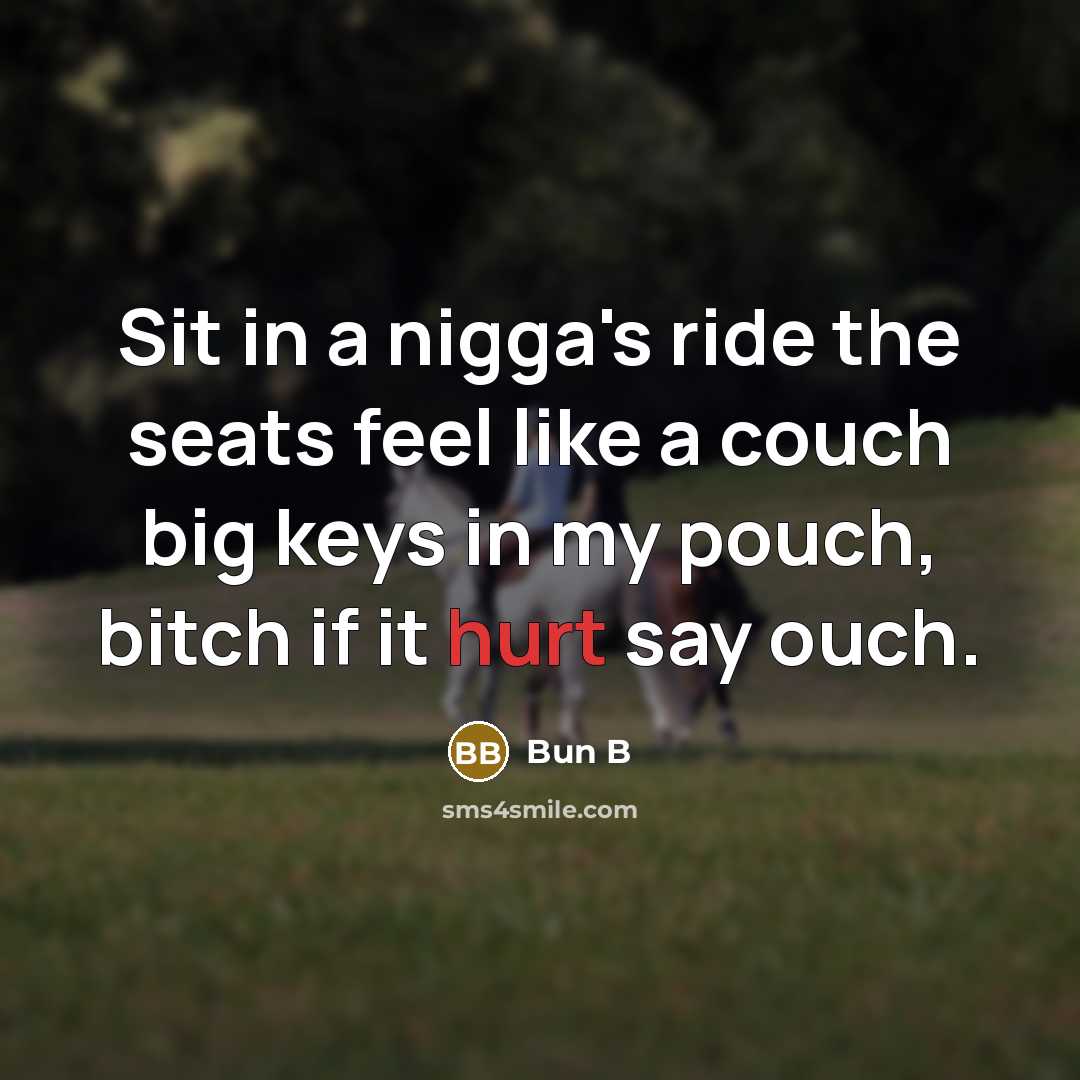 “Sit in a nigga's ride the seats feel like a…” quote by Bun B