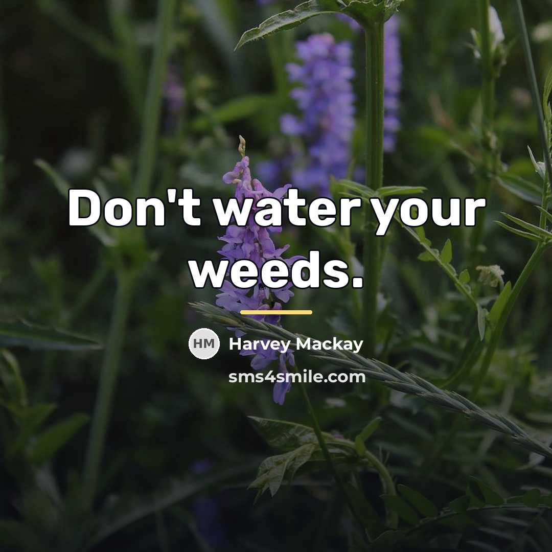 “Don't water your weeds.…” quote by Harvey Mackay