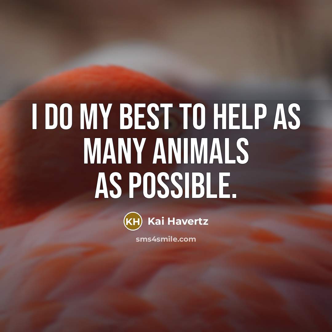 “I do my best to help as many animals as possible.” quote by Kai Havertz