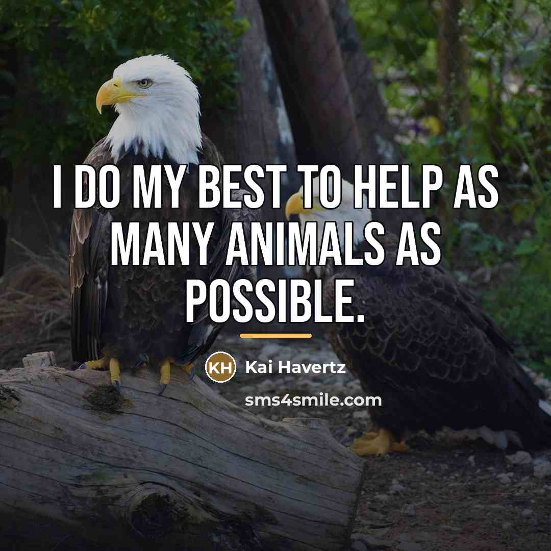 “I do my best to help as many animals as…” quote by Kai Havertz