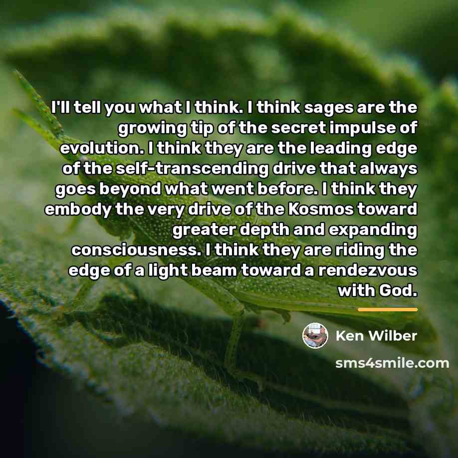 “I'll tell you what I think. I think sages are…” quote by Ken Wilber