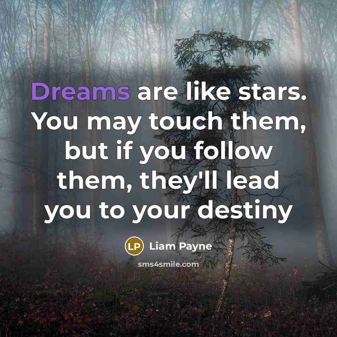 “Dreams are like stars. You may touch them, but if…” quote by Liam Payne