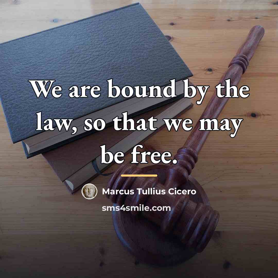 “We are bound by the law, so that we may…” quote by Marcus Tullius Cicero