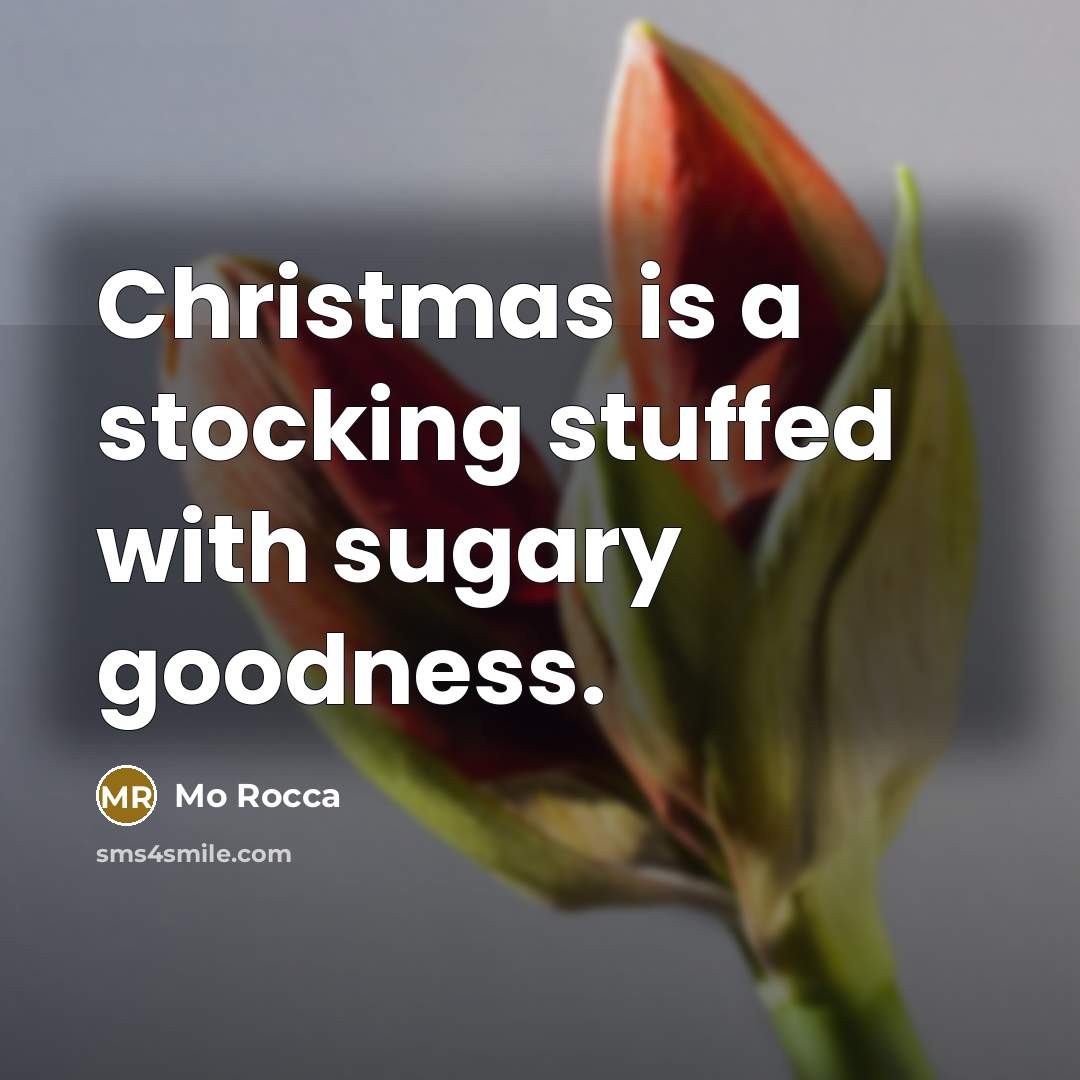 “Christmas is a stocking stuffed with sugary goodness.…” quote by Mo Rocca