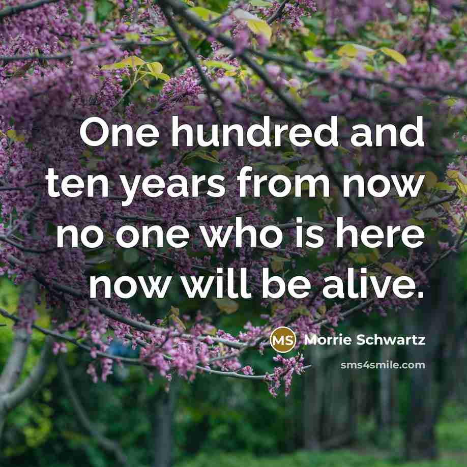 “One hundred and ten years from now no one who…” quote by Morrie Schwartz