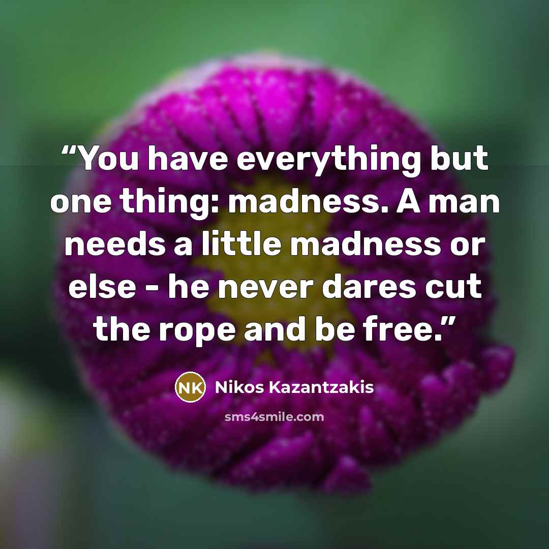 “You have everything but one thing: madness. A man needs a little madness or else - he never dares cut the rope and be free.” quote by Nikos Kazantzakis