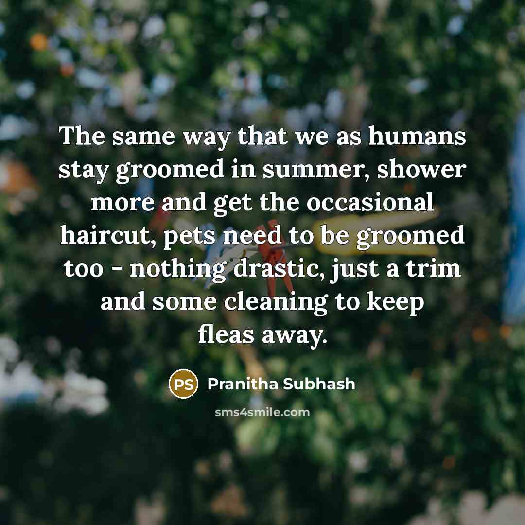 “The same way that we as humans stay groomed in…” quote by Pranitha Subhash
