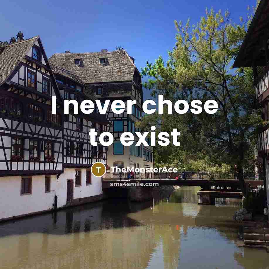 “I never chose to exist” quote by TheMonsterAce