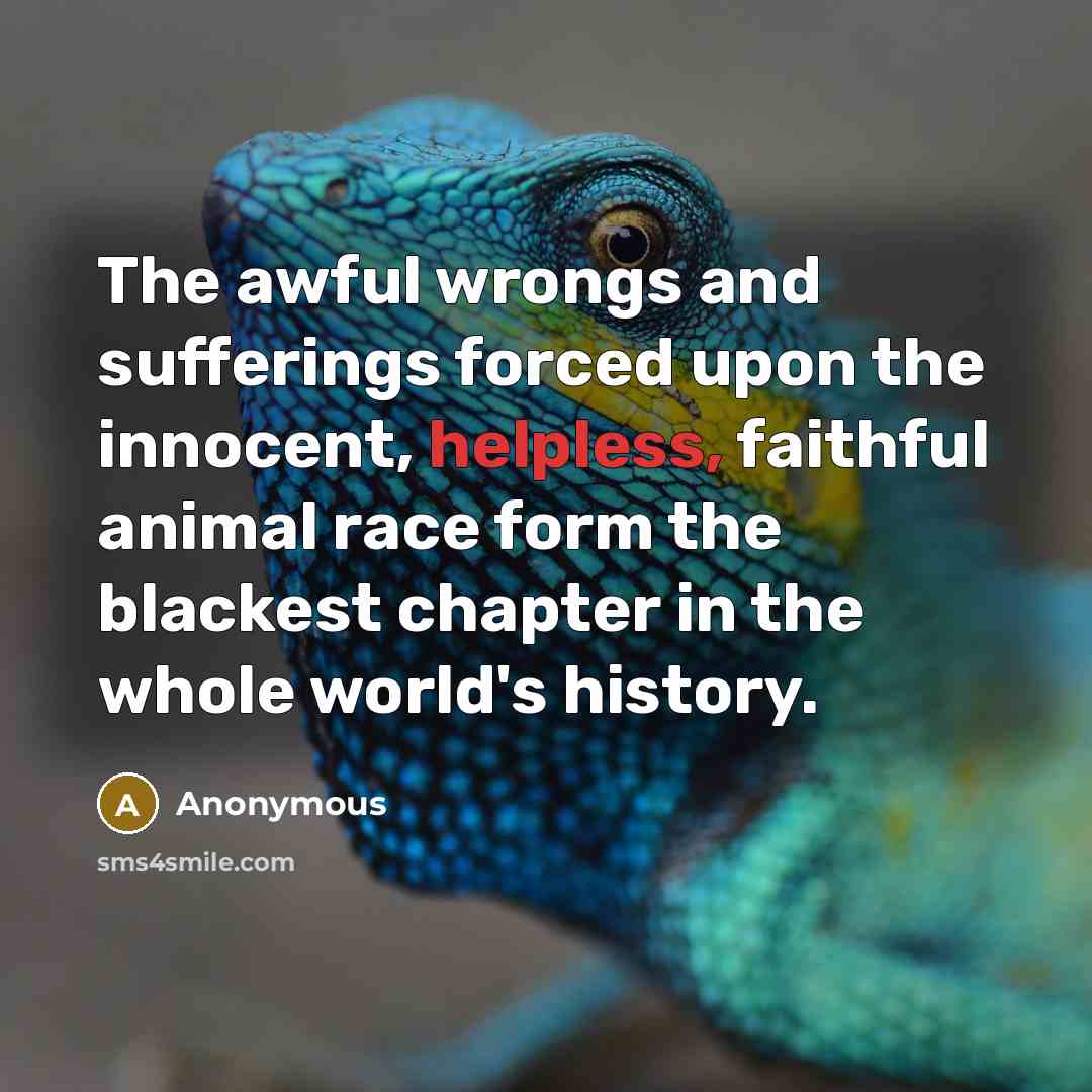 “The awful wrongs and sufferings forced upon the innocent, helpless,…” quote by Anonymous