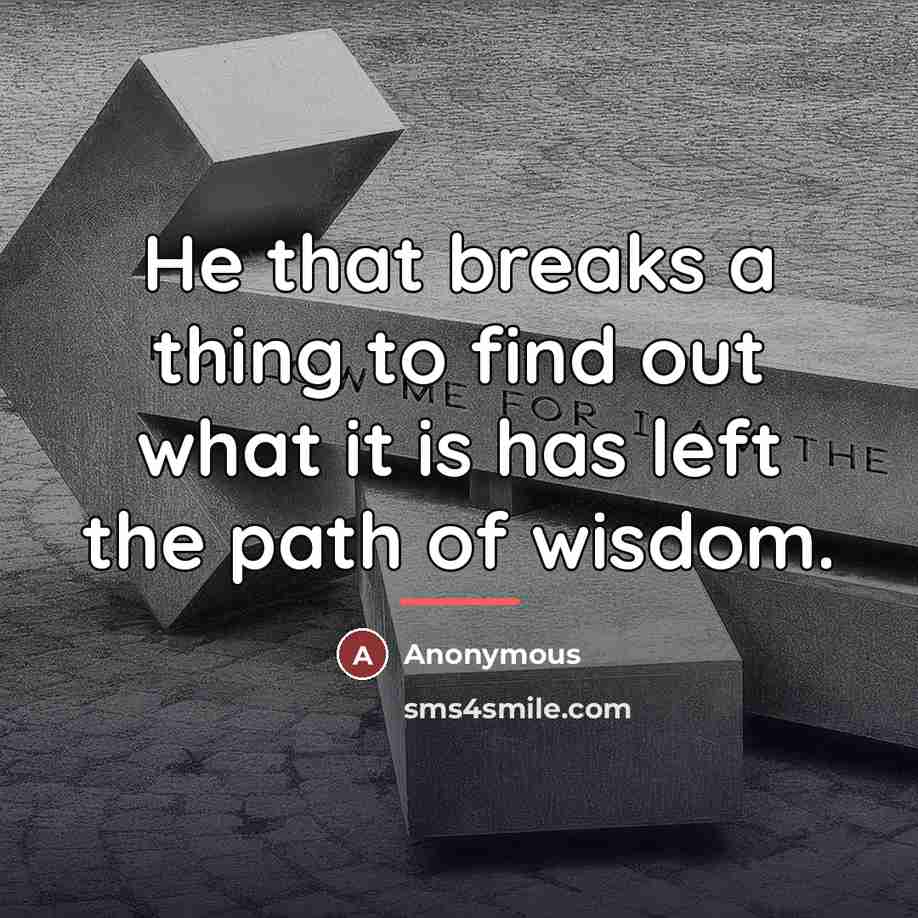 “He that breaks a thing to find out what it…” quote by Anonymous