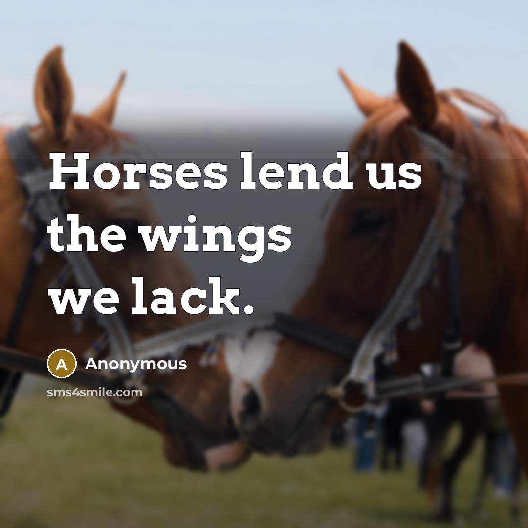 “Horses lend us the wings we lack.…” quote by Anonymous