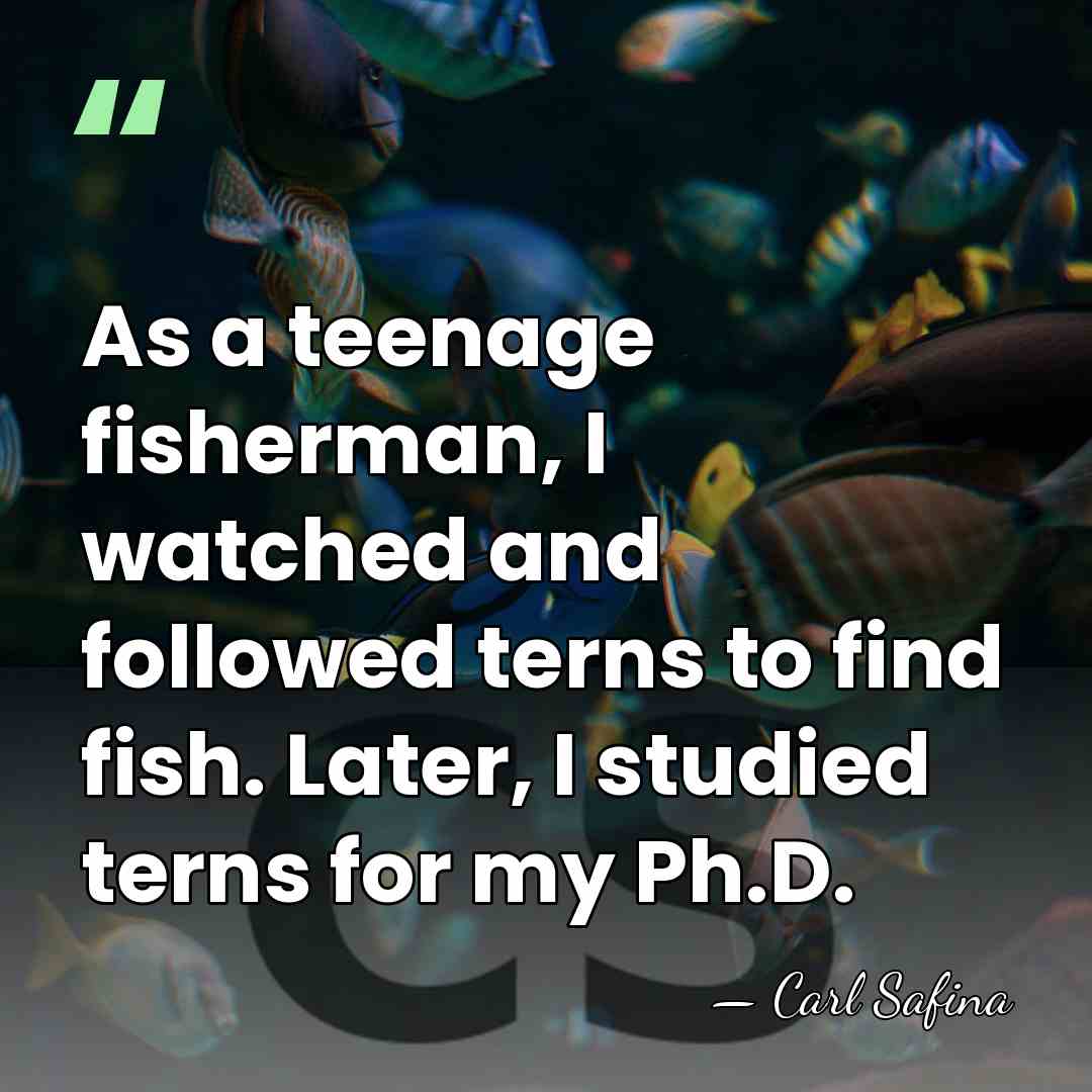 As a teenage fisherman, I watched and followed terns to find fish.&hellip; - Carl Safina